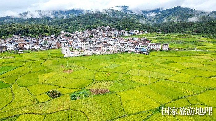 2023年8月23日，贵州省黔东南苗族侗族自治州从江县贯洞镇境内的田园，五彩斑斓，景美如画。  (8)