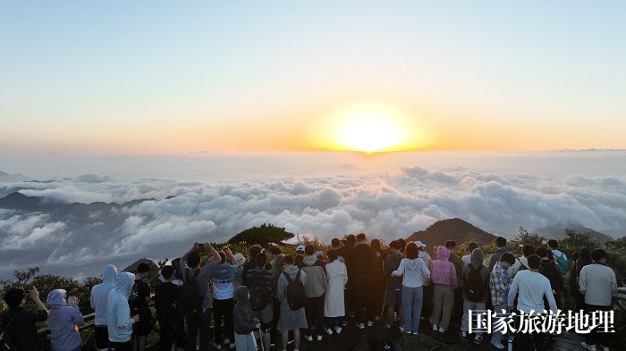 DJI_0781