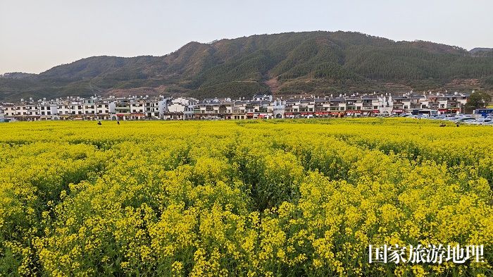 2024年3月20日，江西婺源县篁岭风景区油菜花竞相开放。廖祖平摄
