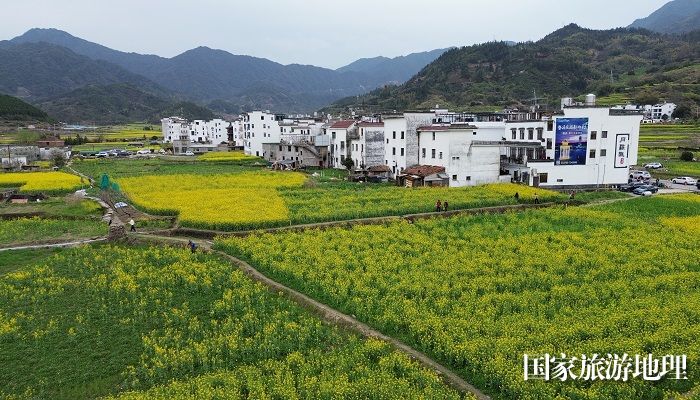 2024年3月21日，江西婺源县篁岭风景区盛开的油菜花田与徽派建筑相映成景（无人机航拍）。廖祖平 摄