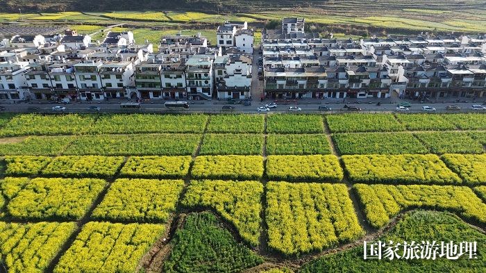 2024年3月21日，江西婺源县篁岭风景区盛开的油菜花田与徽派建筑相映成景（无人机航拍）。廖祖平摄
