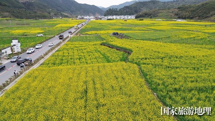 2024年3月21日，江西婺源县篁岭风景区油菜花竞相开放（无人机航拍）。廖祖平摄