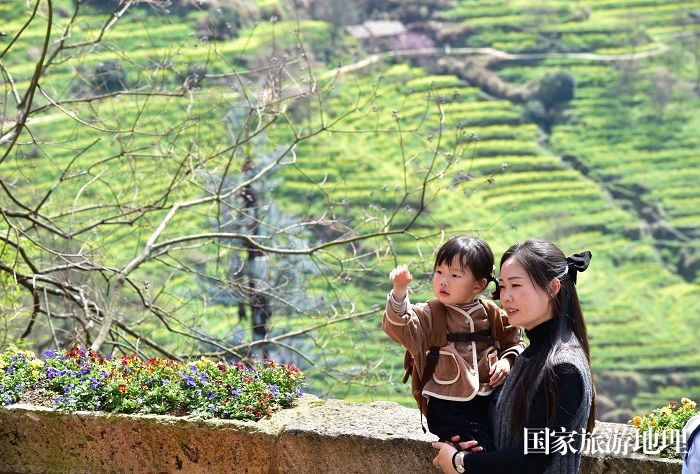 2024年3月21日，游人在江西婺源县篁岭风景区观赏梯田油菜花。廖祖平摄