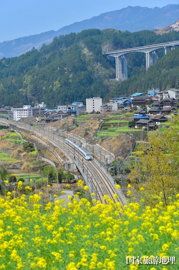 2024年3月19日，一列动车组列车在贵广高铁贵州省从江县洛香镇段附近行驶。 (12)