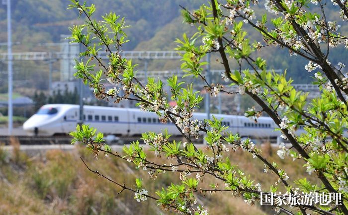 2024年3月19日，一列动车组列车在贵广高铁贵州省从江县洛香镇段附近行驶。 (18)